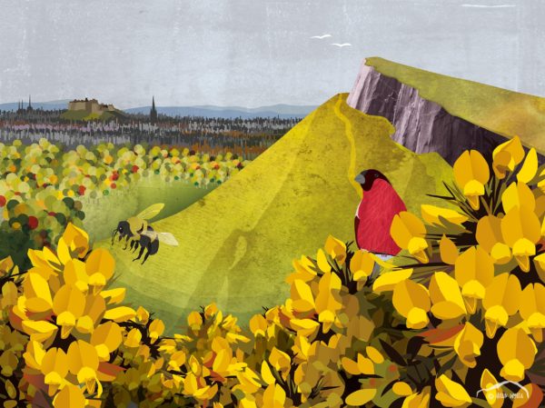 Salisbury Crags, Edinburgh, by Helen Wyllie