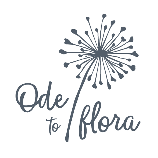 ode to flora brand by helen wyllie