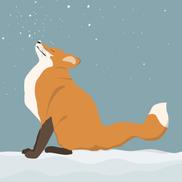 christmas fox by helen wyllie