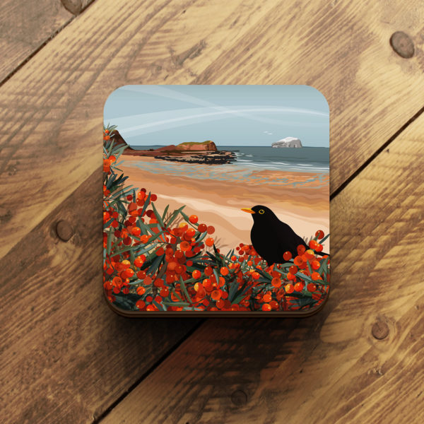 seacliff, blackbird, seabuckthorn coaster by helen wyllie