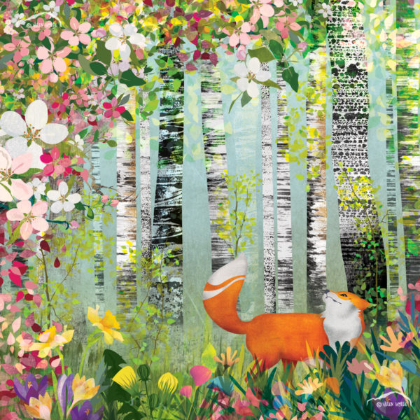 helen wyllie Spring fox in birch trees