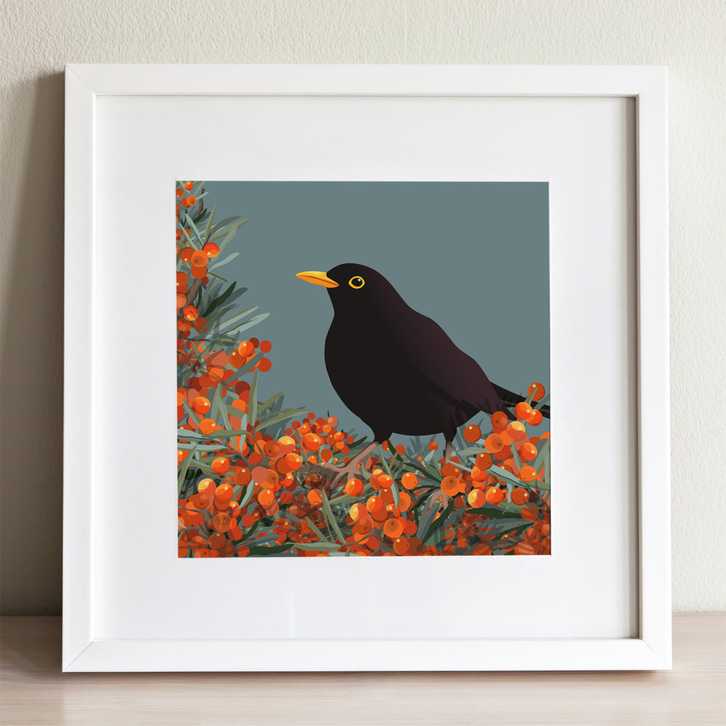 Blackbird and sea buckthorn print by helen wyllie