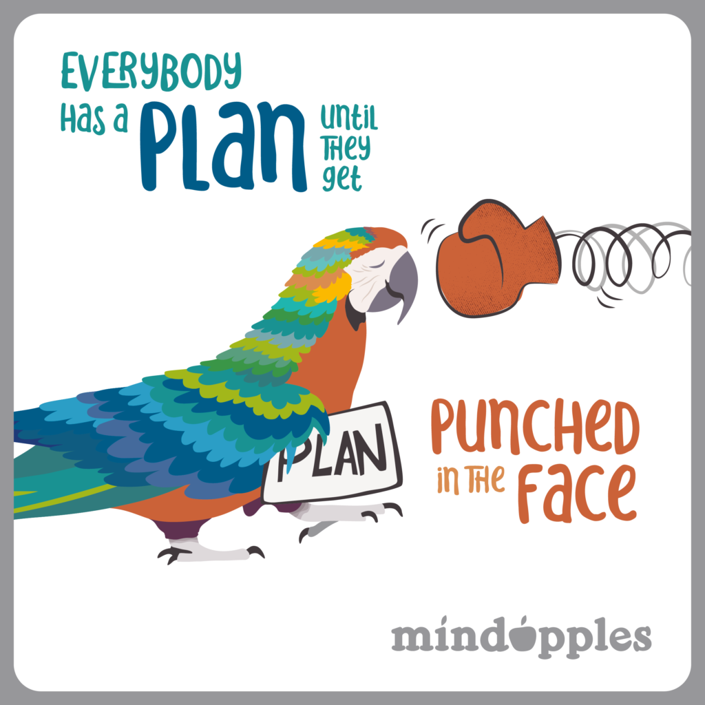 mindapples plan punch