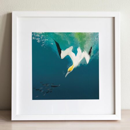 diving gannet print, helen wyllie