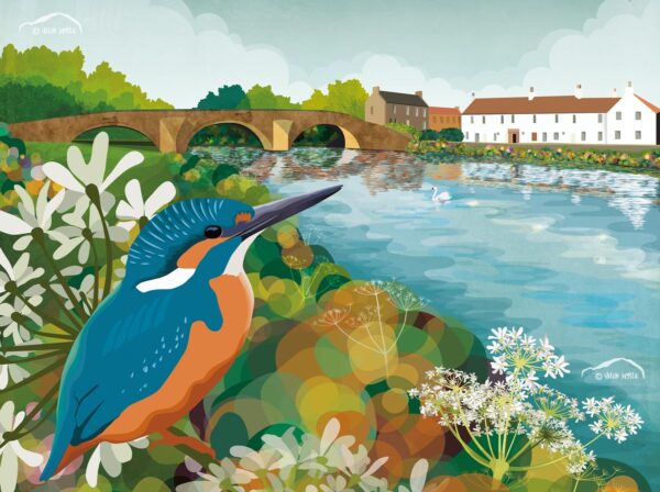 Kingfisher, Nungate by Helen Wyllie