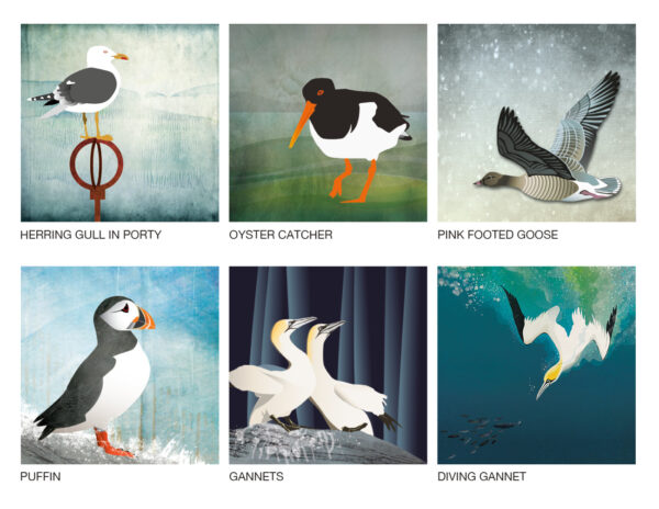 Helen Wyllie bird art greetings cards