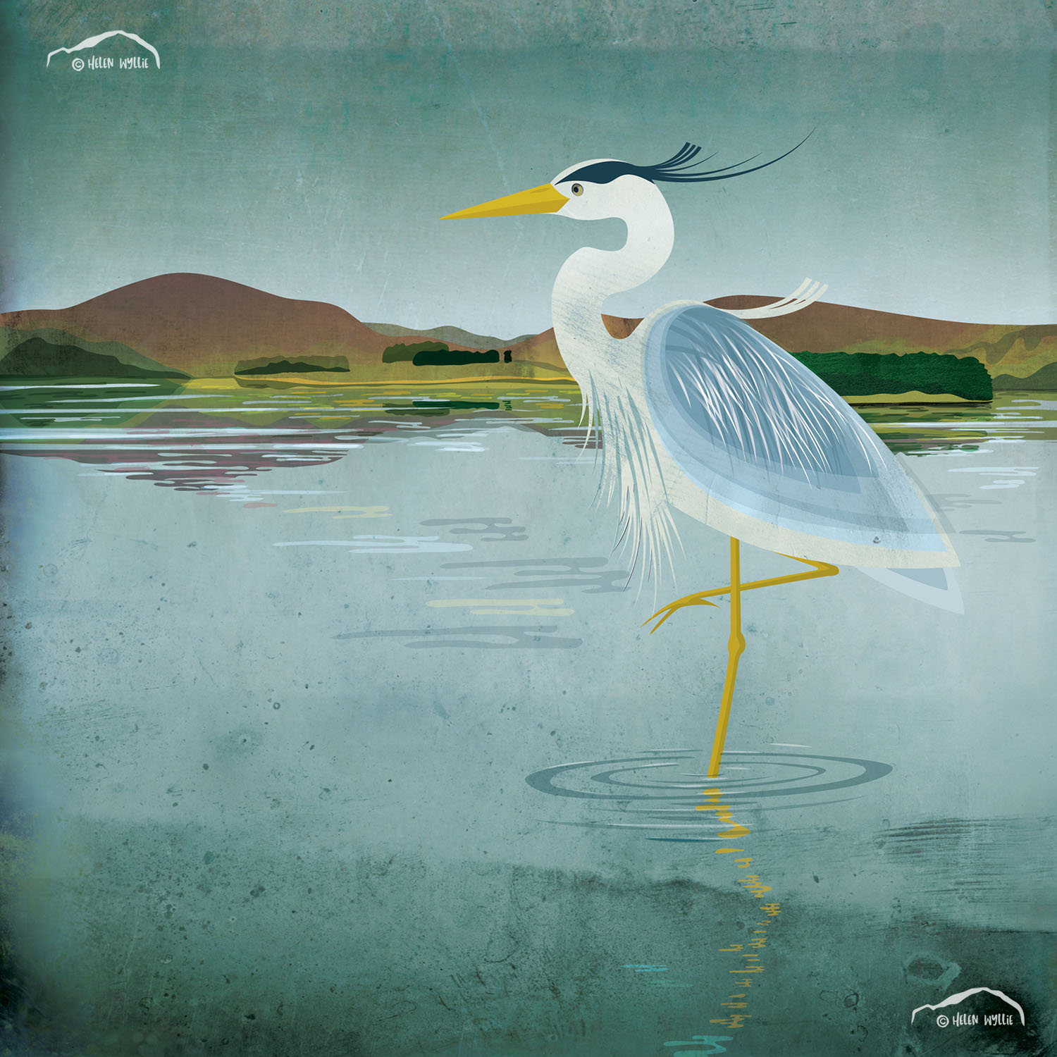 Heron at Whiteadder by helen wyllie