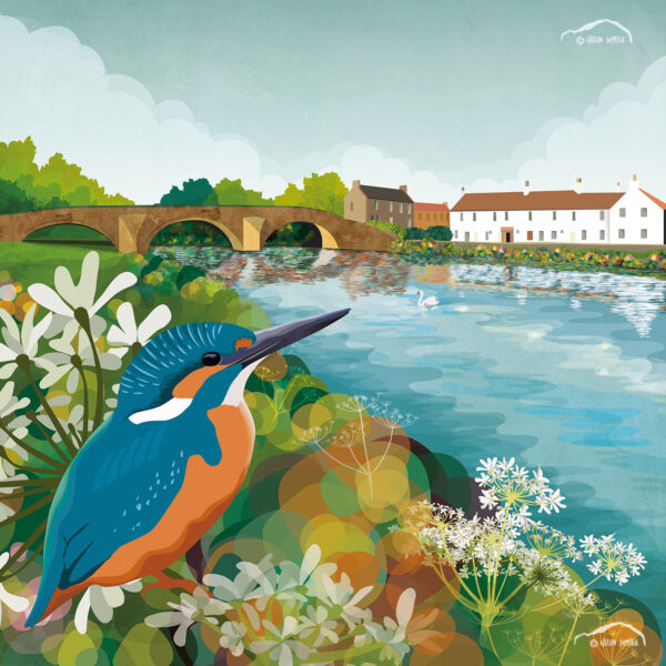 Kingfisher, Nungate Bridge by helen wyllie