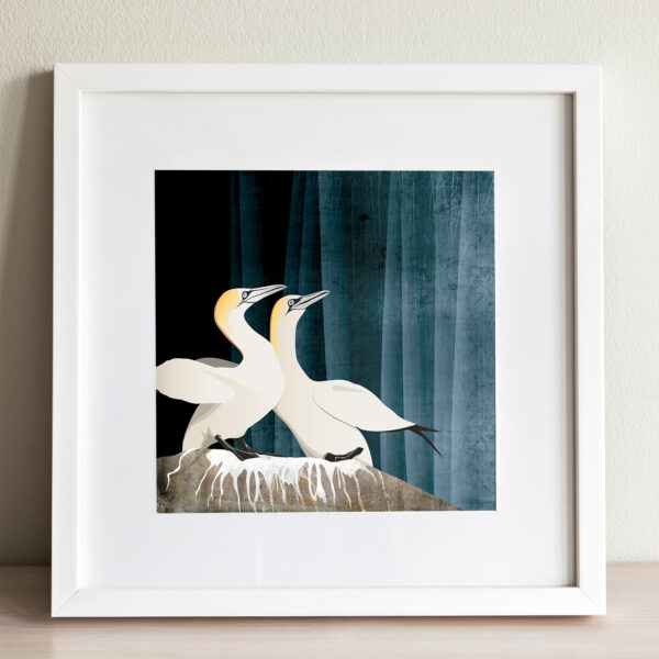 Gannet pair print by helen wyllie