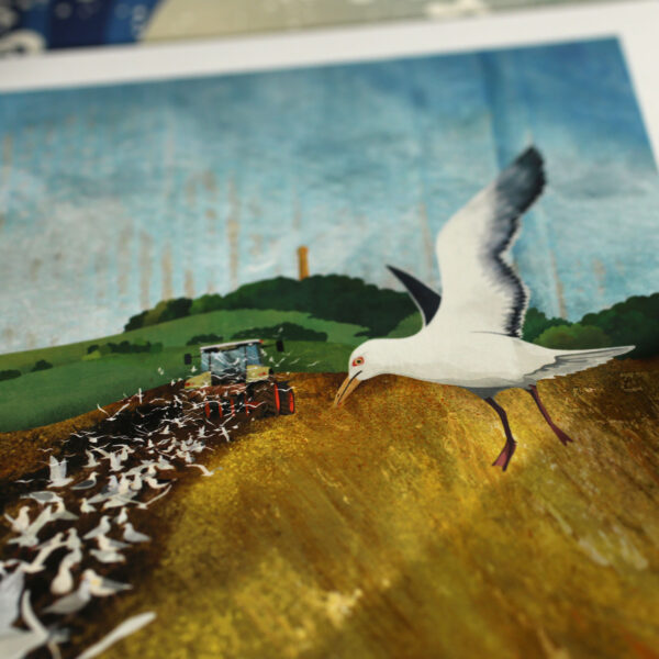 harvest & gulls by helen wyllie