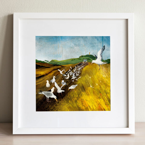 Harvest and gulls, Camptoun by helen wyllie