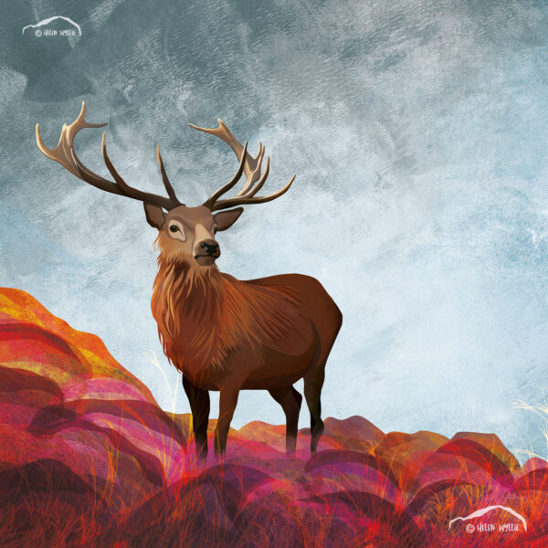 autumn stag by helen wyllie