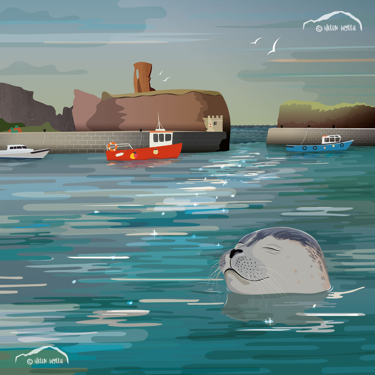 Dunbar harbour seal by helen wyllie