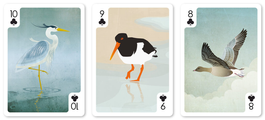helen wyllie clubs heron oystercatcher goose