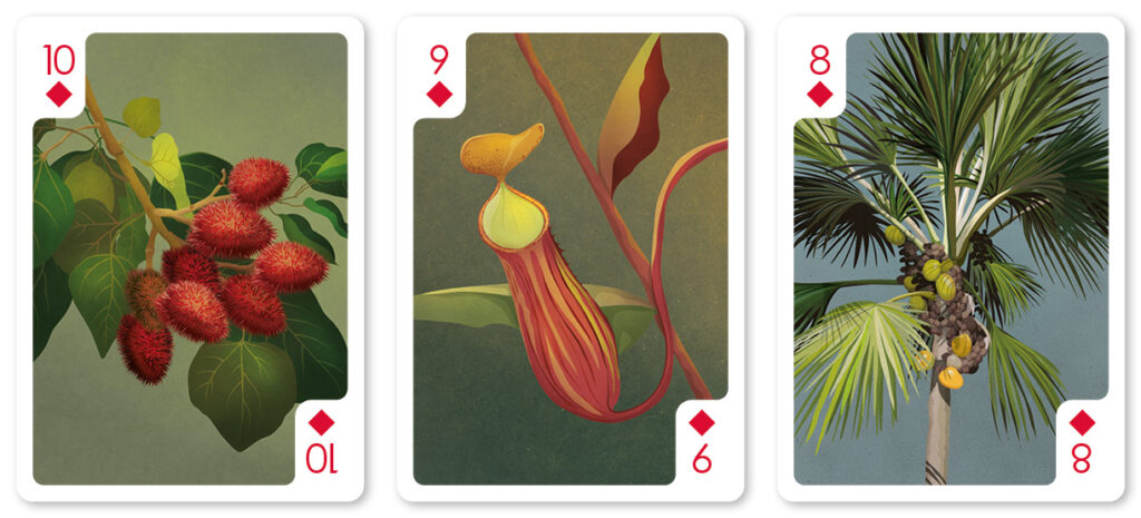 helen wyllie diamonds 10-8