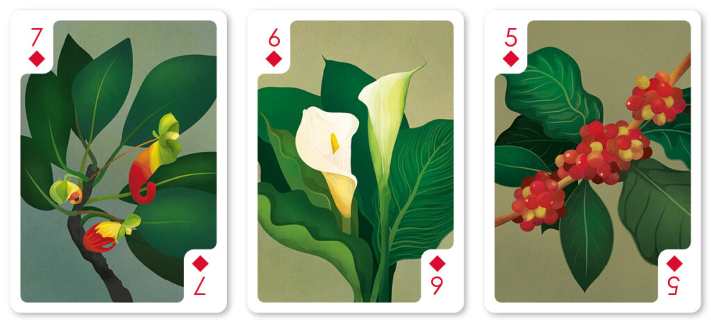 helen wyllie diamonds 7-5