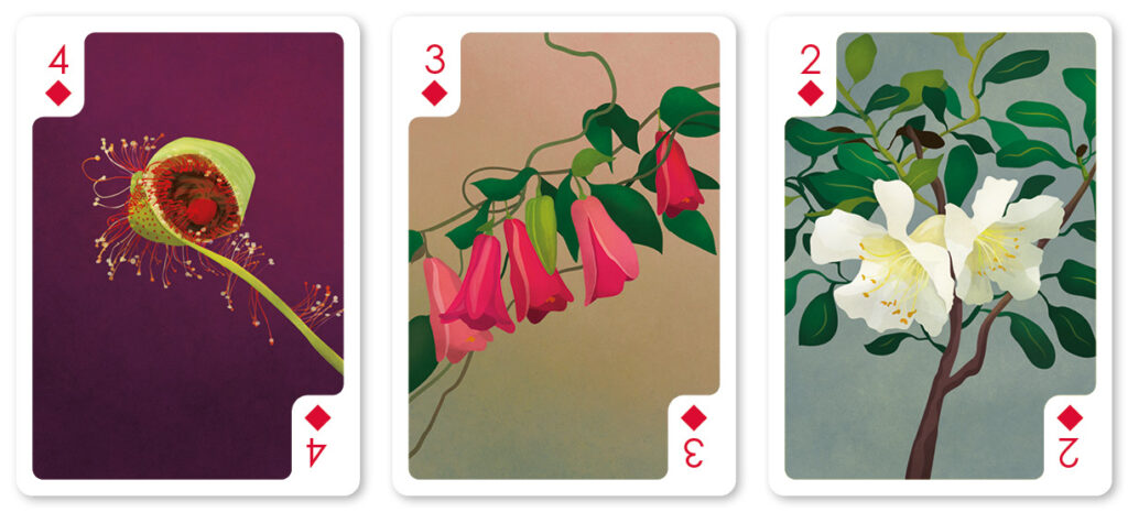 helen wyllie diamonds 4-2