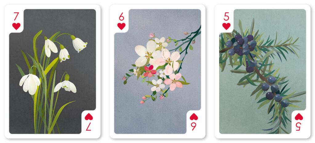 helen wyllie poker cards snowdrop