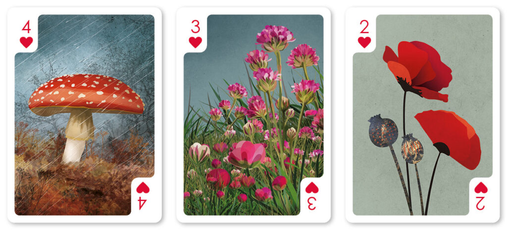 helen wyllie poker cards poppy