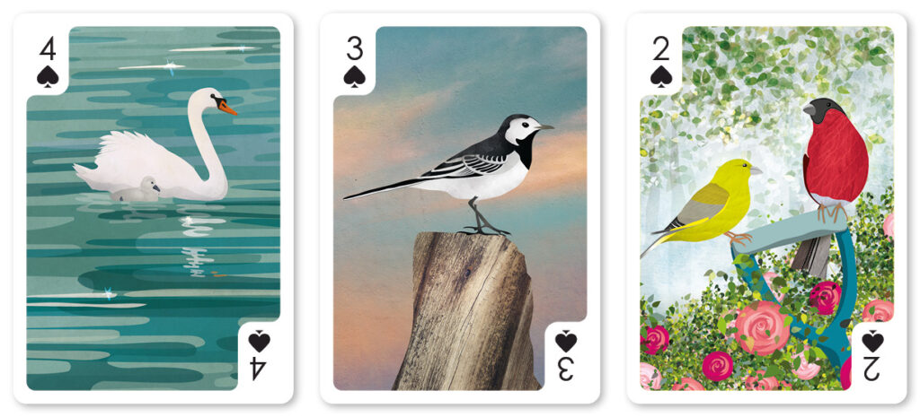 helen wyllie cards swan