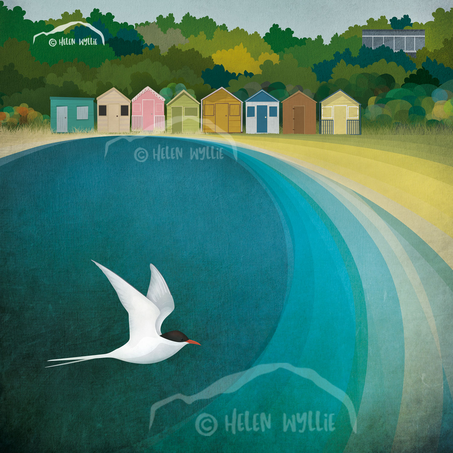 Coldingham Bay by helen wyllie