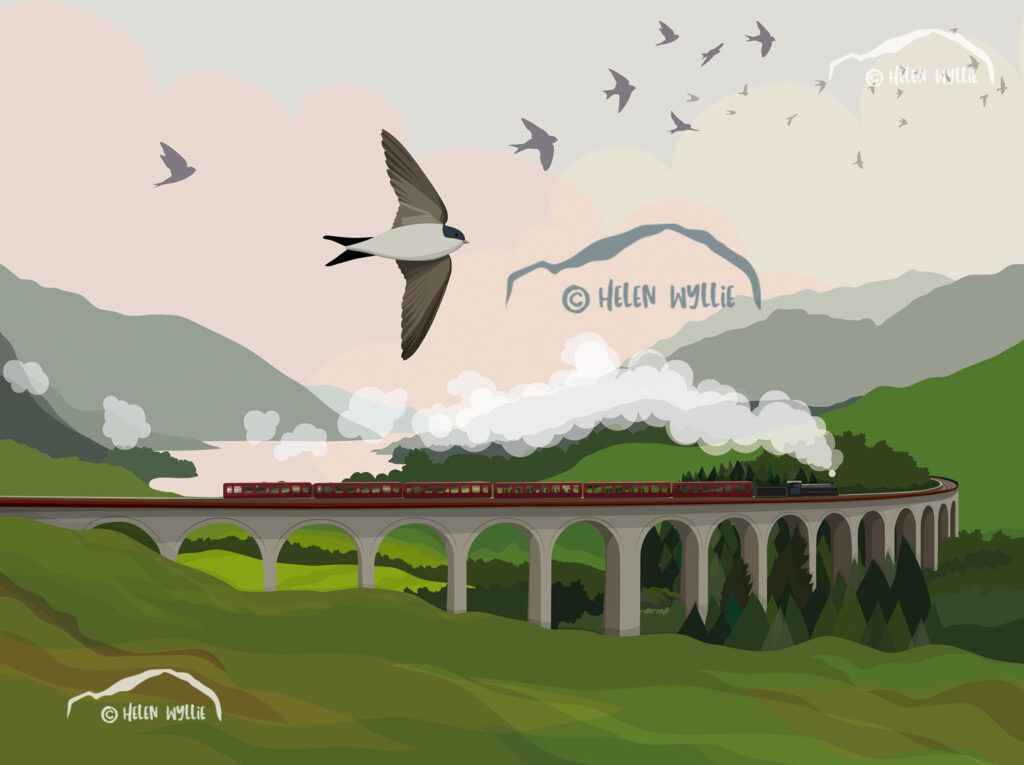 Glenfinnan Viaduct and house martins