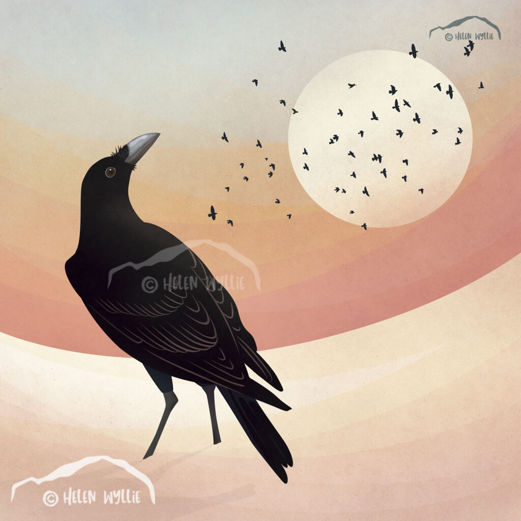 Crow in the snow by helen wyllie
